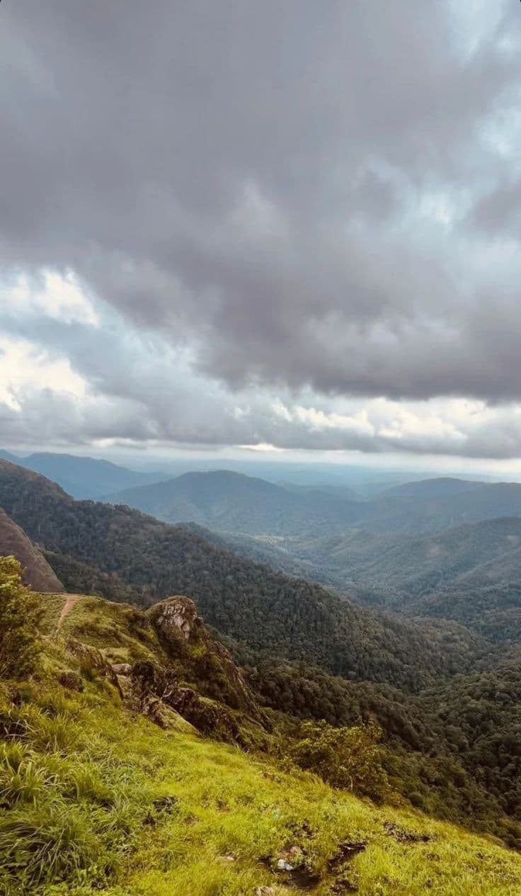 Neelimala View Point